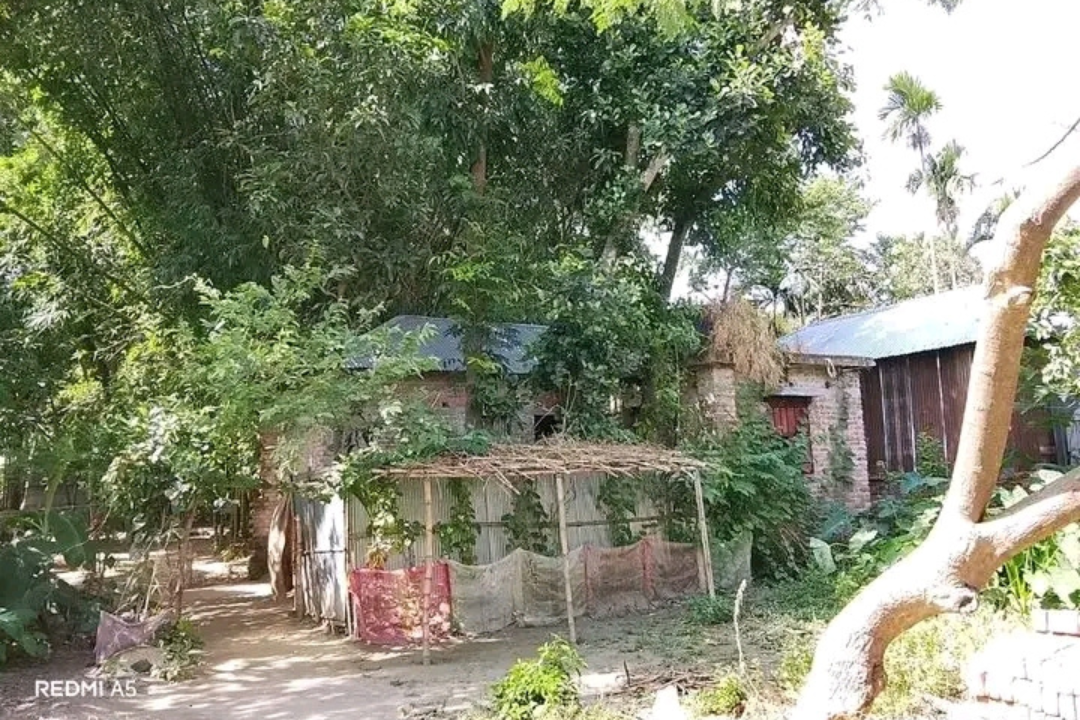 Land