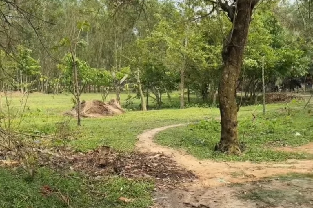 Land