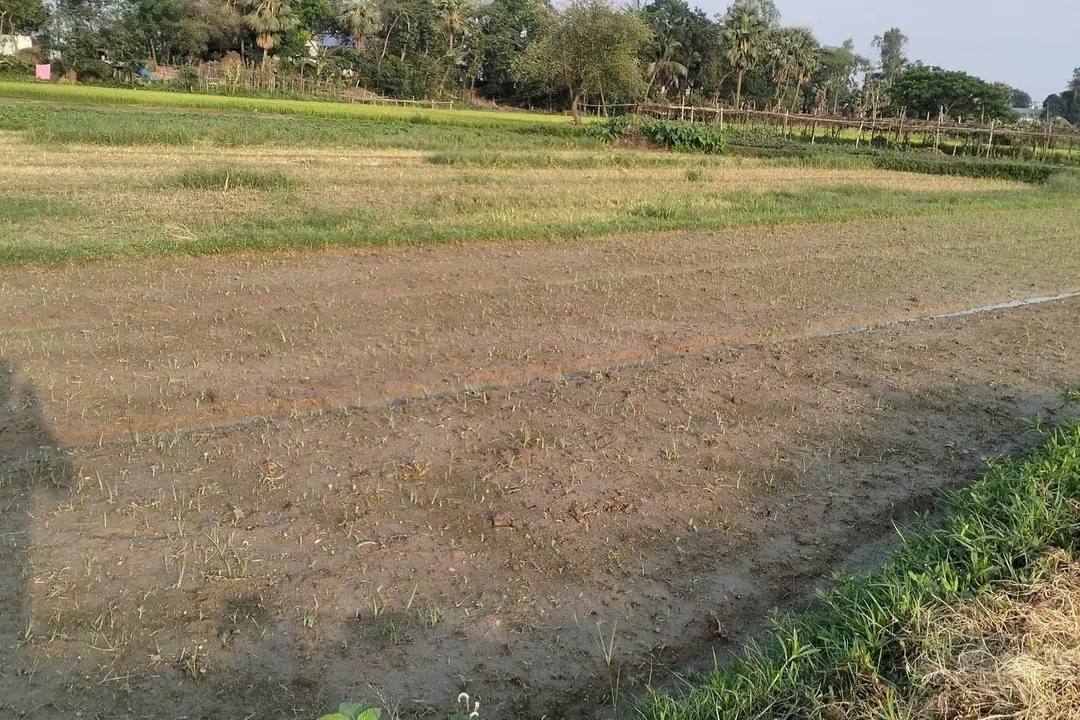 Land
