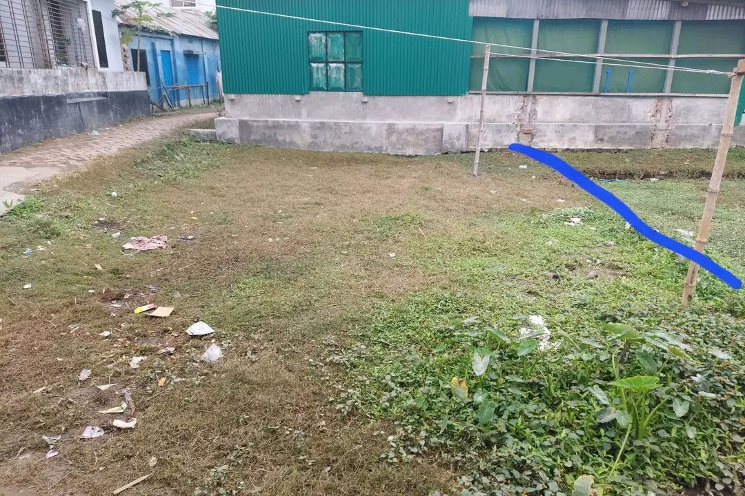 Land