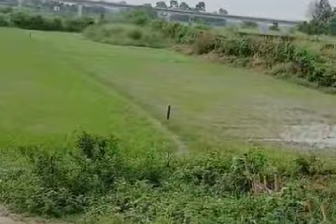 Land