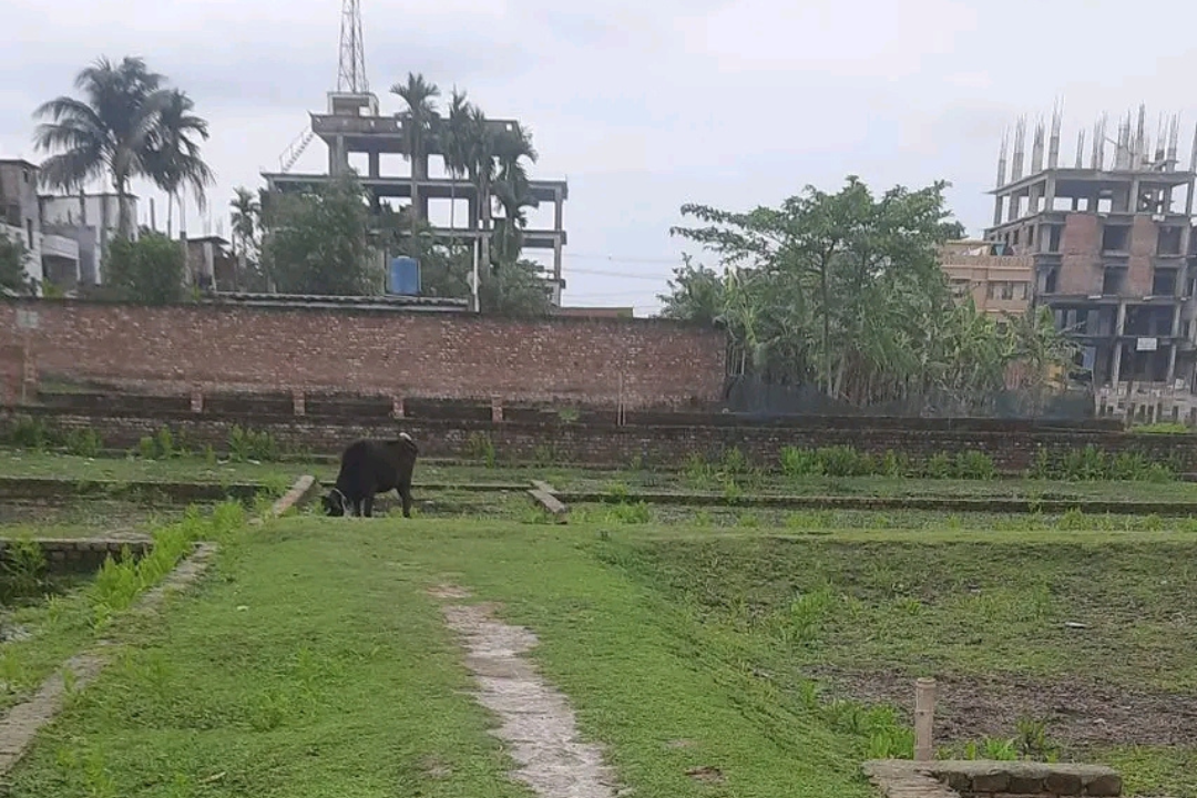 Land