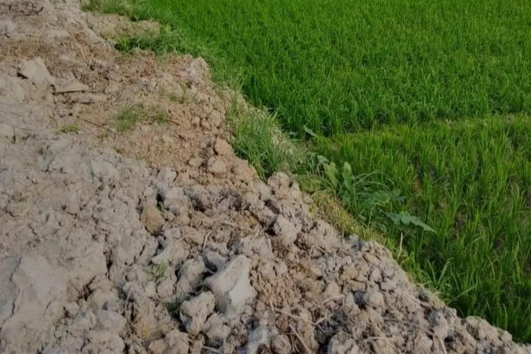 Land