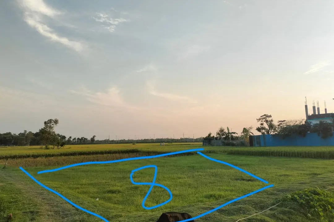 Land
