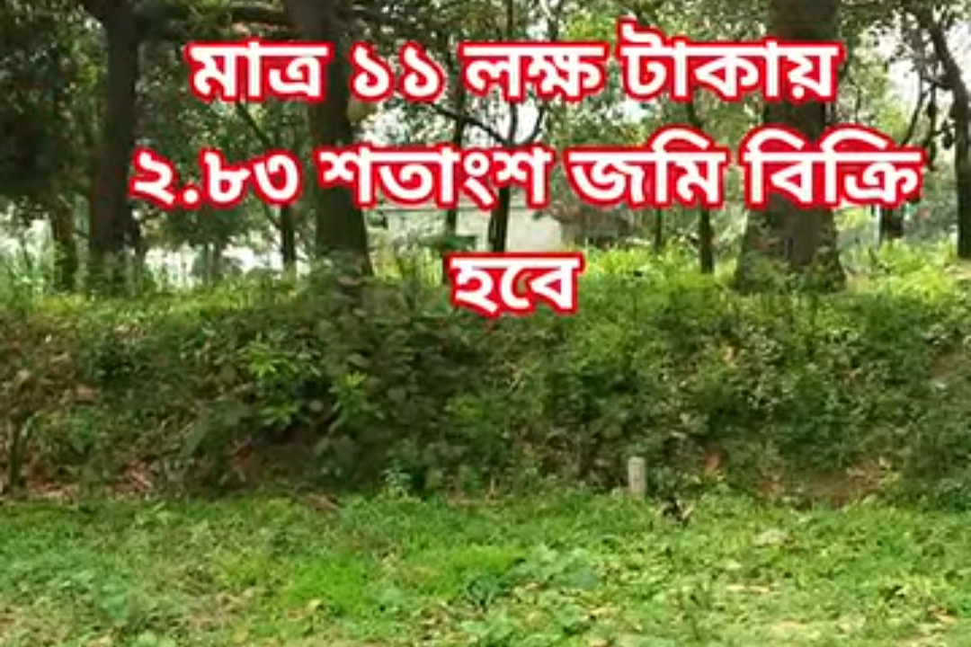 Land