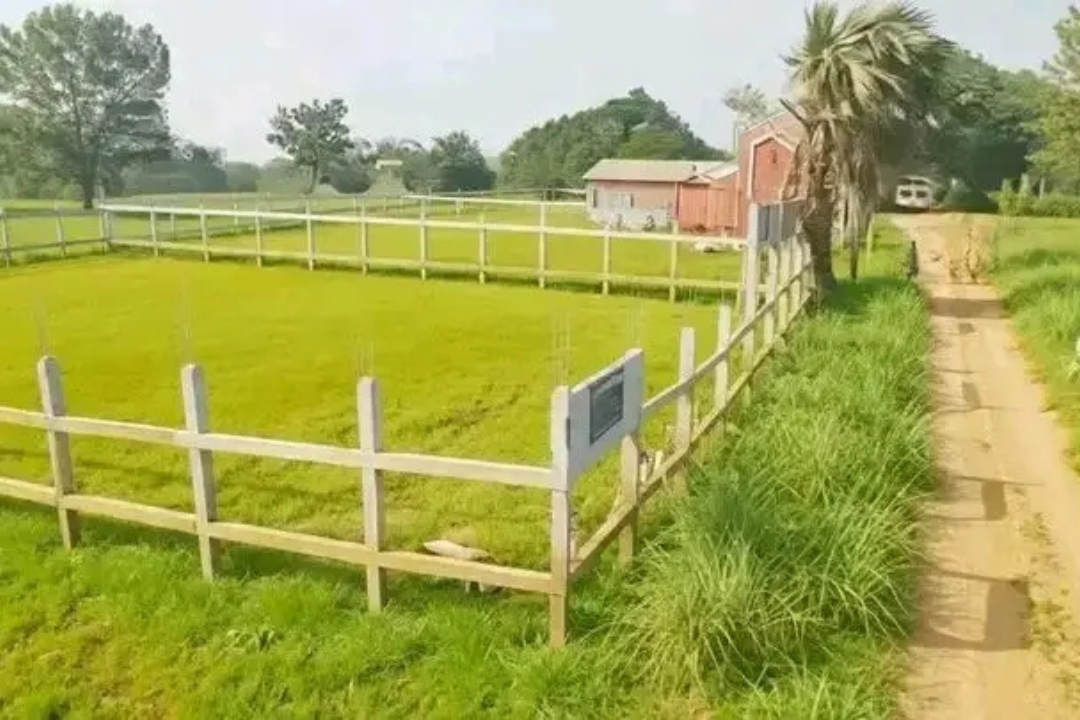 Land