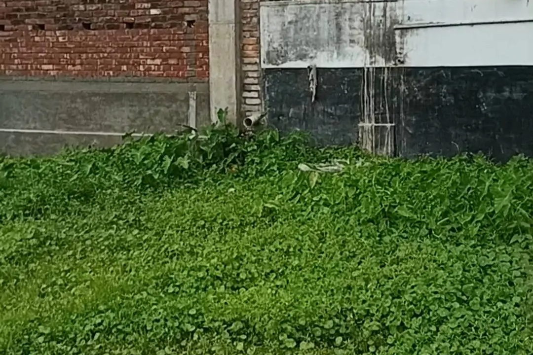 Land