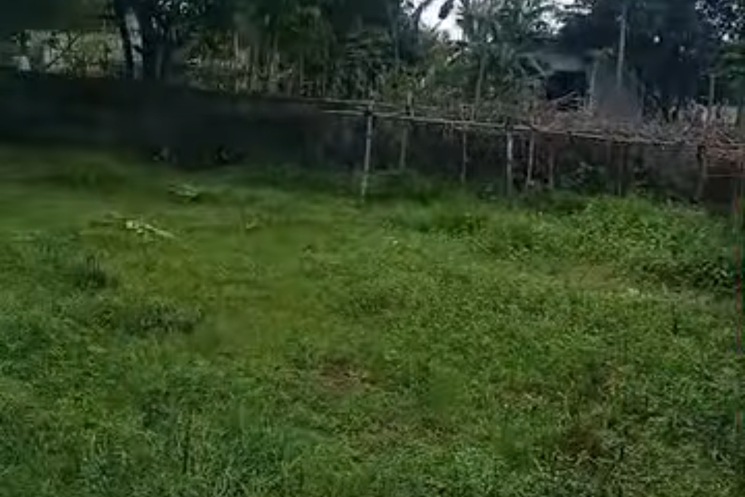 Land