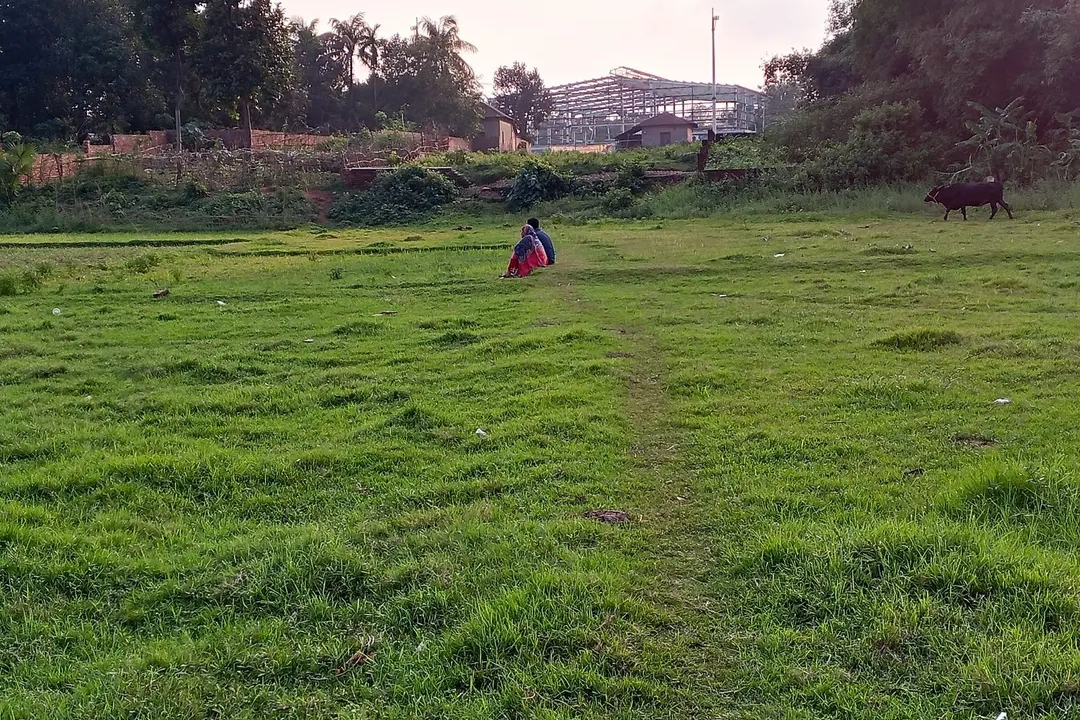 Land