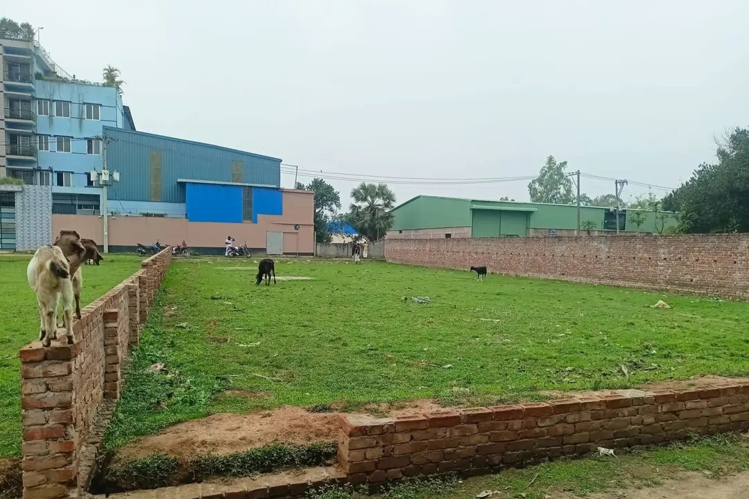 Land