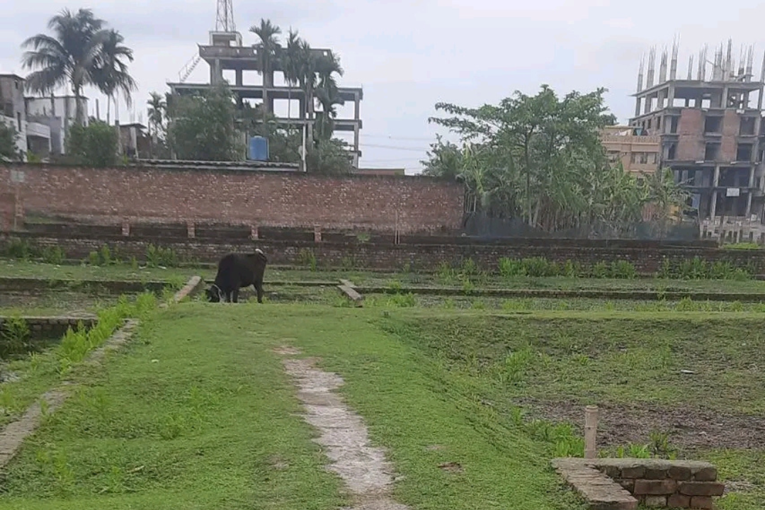 Land