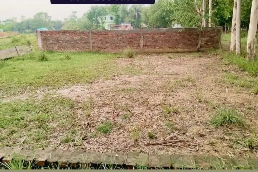 Land