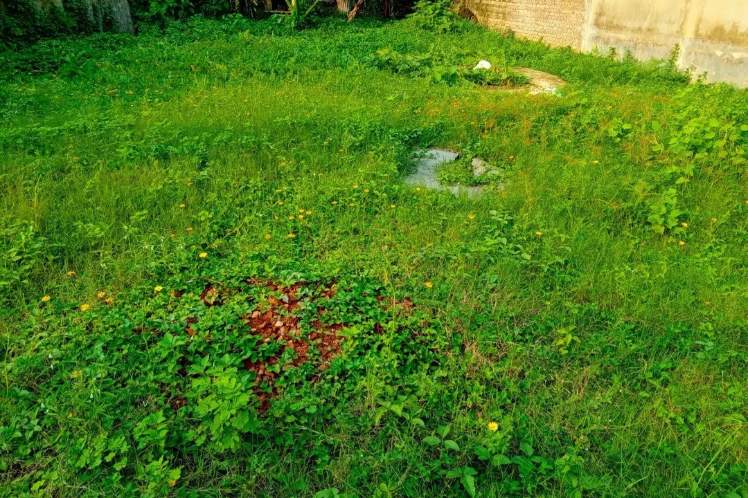 Land