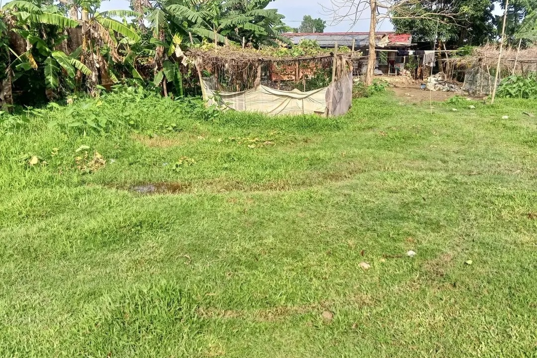 Land