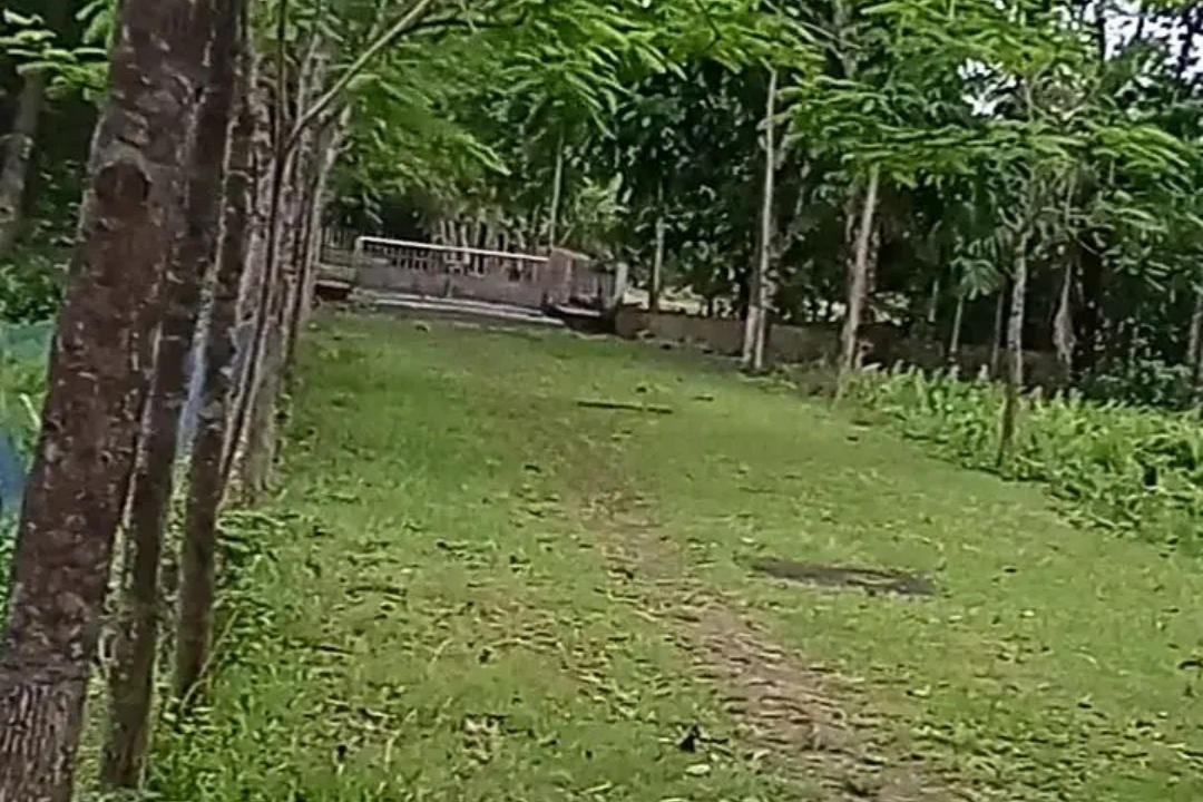 #