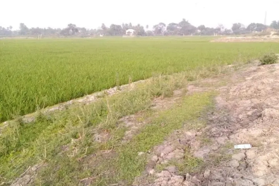 Land