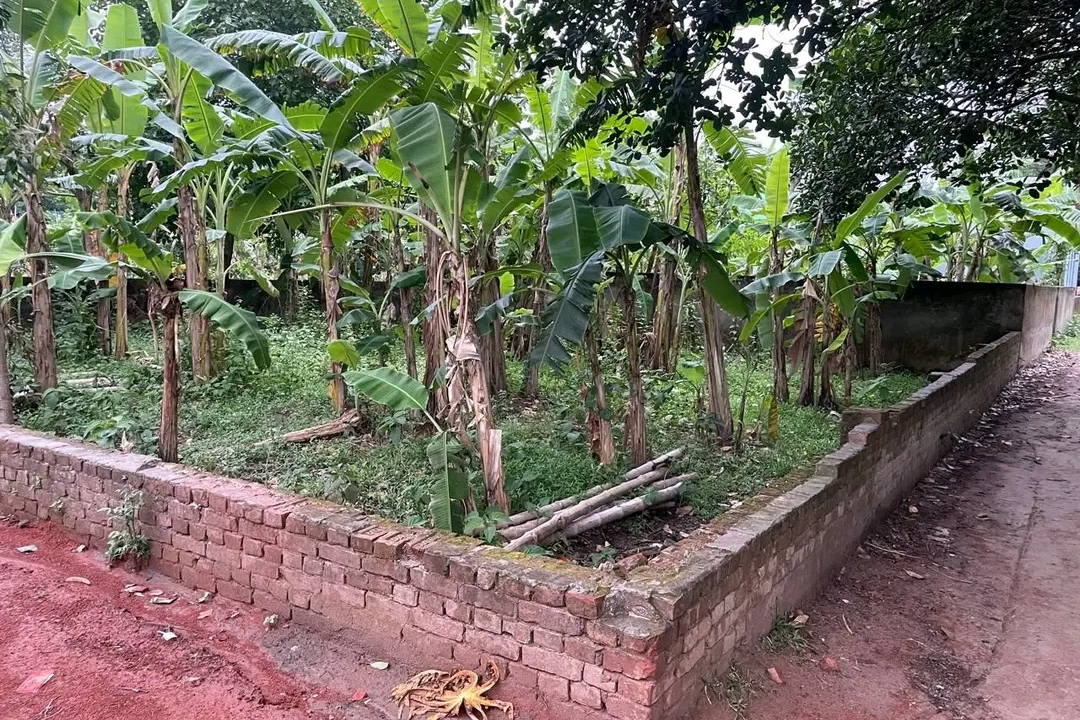 Land