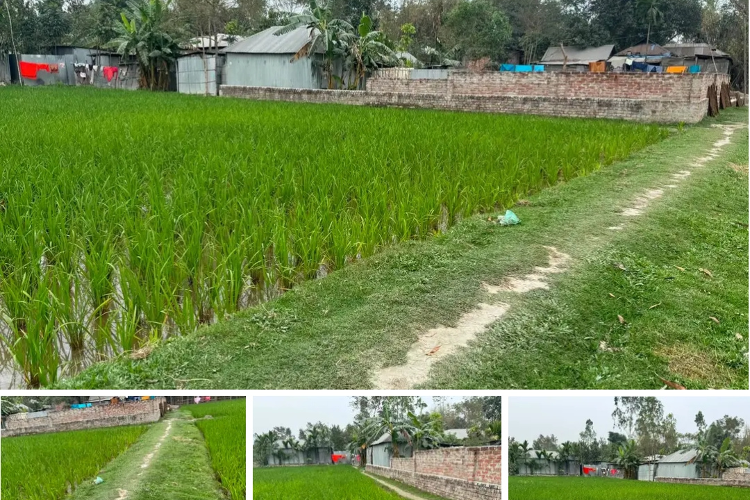 Land