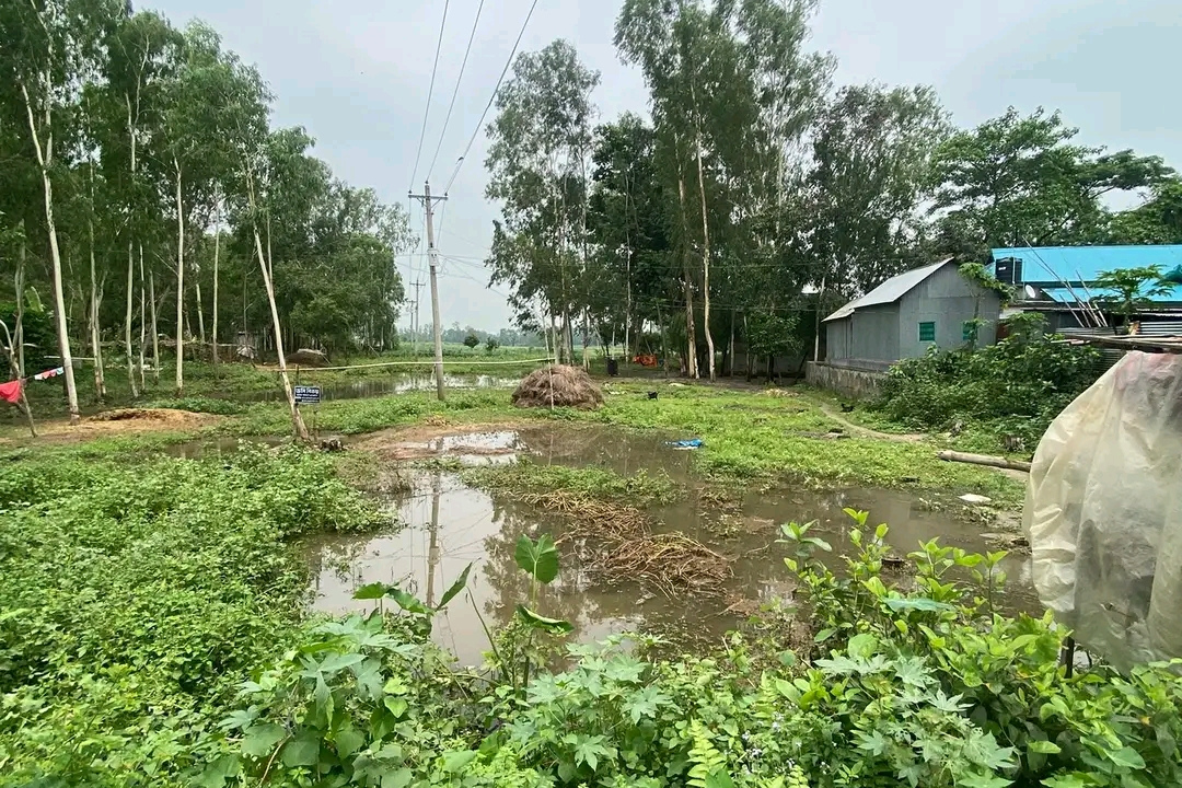 Land