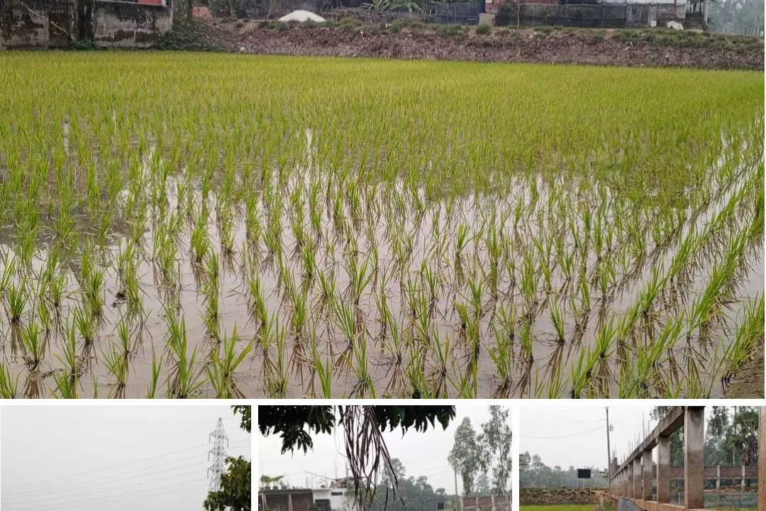 Land