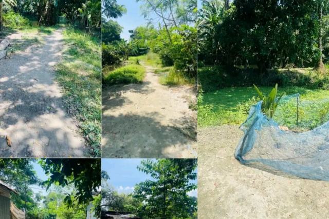 পদ্মা সেতু সংলগ্ন এলাকায় ৩৪ শতক বাণিজ্যিক বা আবাসিক জমি বিক্রয়