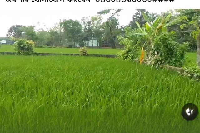 গাজীপুর ধীরাশ্রমে ৫ কাঠার নিষ্কণ্টক ইনভেস্টমেন্ট প্লট বিক্রি | ৩১ নং ওয়ার্ড