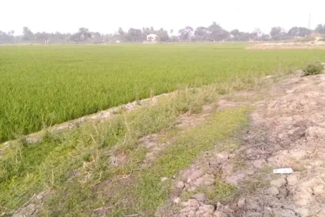 সাভার আশুলিয়ার জিরাবো এলাকায় ৫ বিঘা জমি জরুরি বিক্রয়