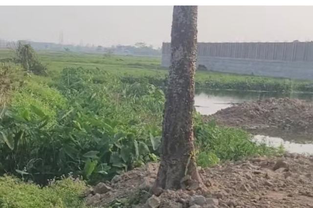 সিলেটের কুচাই এলাকায় মেইন রোডের পাশে জমি বিক্রয়