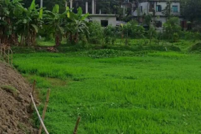 বরিশাল সদর এয়ারপোর্ট থানার মাধবপাশা বাজার সংলগ্ন আবাসিক প্লট বিক্রয়