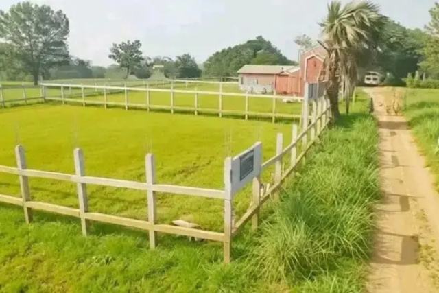 গাজীপুর বোর্ড বাজার সংলগ্ন গাছা এলাকায় ৩ কাঠার চমৎকার প্লট বিক্রয়