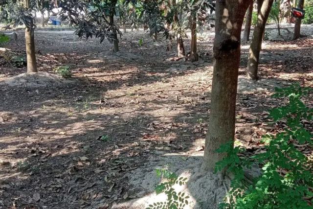 রাজশাহী সিটি কর্পোরেশনে বিনোদপুর বাজার সংলগ্ন ৪ কাঠা নিষ্কণ্টক জমি বিক্রয়