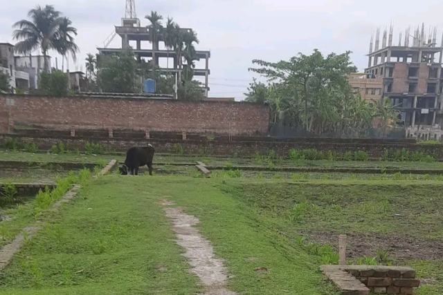 রংপুরের নীল কণ্ঠে ১০ ফিট রাস্তার সাথে ৫ শতক স্কয়ার জমি বিক্রয়
