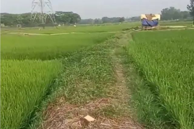 Land for Sale in Abdullahpur, Keraniganj, Dhaka | ৳72 Lakh