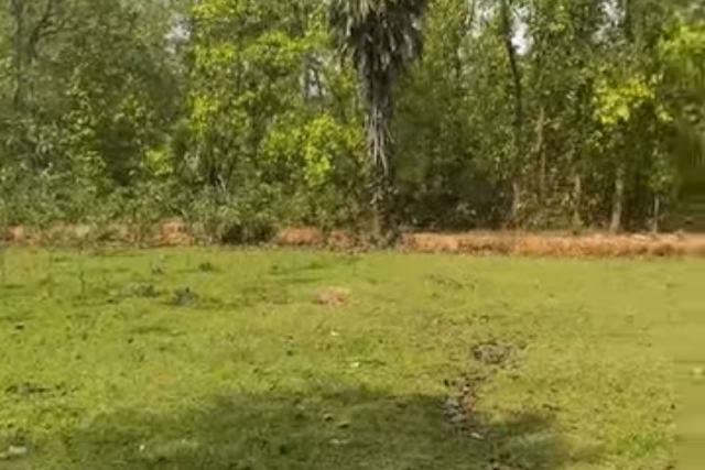 গাজীপুরের কালিয়াকৈরে ইন্ডাস্ট্রিয়াল প্রজেক্টের জন্য ৩৫ শতাংশ নিষ্কণ্টক জমি বিক্রয়
