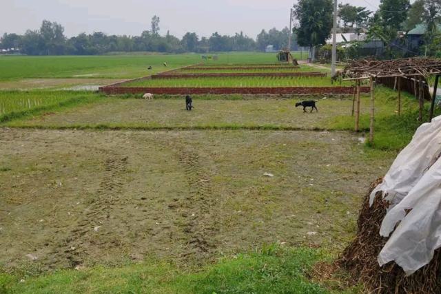 রংপুর সিটিতে পাকা রাস্তা সংলগ্ন আকর্ষণীয় আবাসিক প্লট বিক্রয়