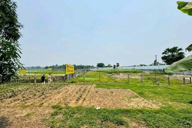 এশিয়ান মহাসড়কের কাছে অবিশ্বাস্য মূল্যে জমির প্লট বিক্রয়—প্রতি কাঠা মাত্র ৪ লক্ষ টাকা