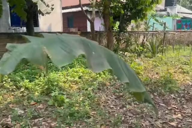 Prime 7.5 Decimal Square Plot for Sale in Birulia, Savar || Buy Land In Savar