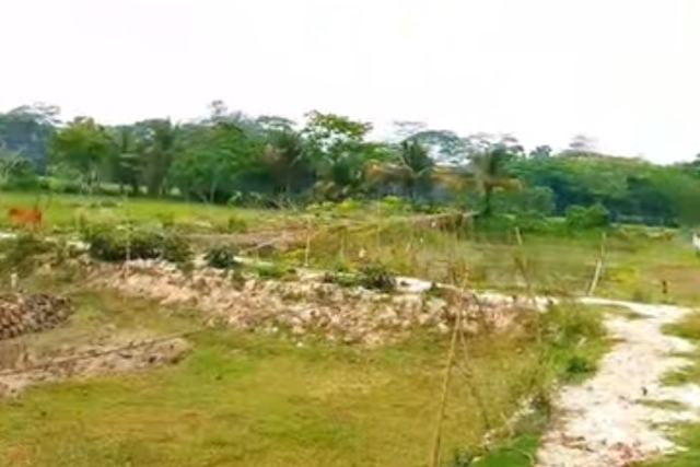 66 Decimals Large Land for Sale in Barishal City | Kashipur Choumatha