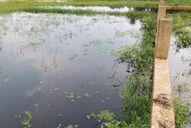ঢাকা উত্তর খান ৪৪ নং ওয়ার্ডে ৫ কাঠা নিষ্কণ্টক জমি বিক্রয়