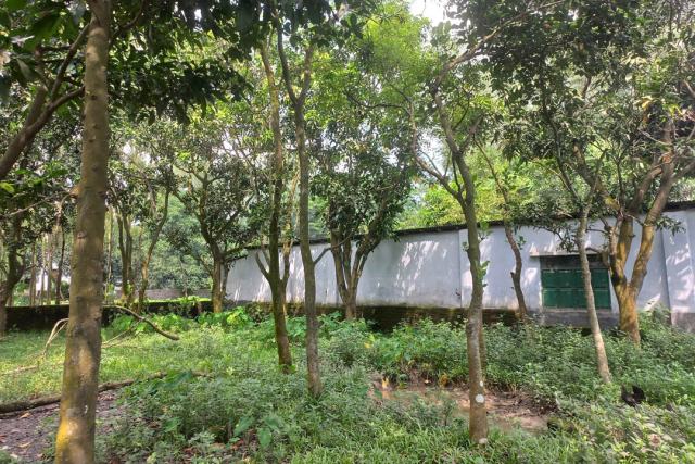 বগুড়া বেতগাড়ি এলাকায় ৮ শতাংশ জায়গা বিক্রি হবে।