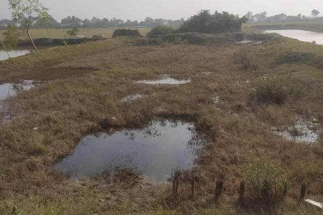 খুলনার কোয়ে বাজারে চওড়া রাস্তাসহ ৪২ শতাংশ নিষ্কণ্টক জমি বিক্রয়