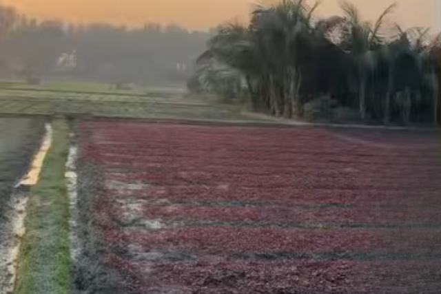 6 Ganda Land for Sale near North Kauli Railway Line, Chattogram