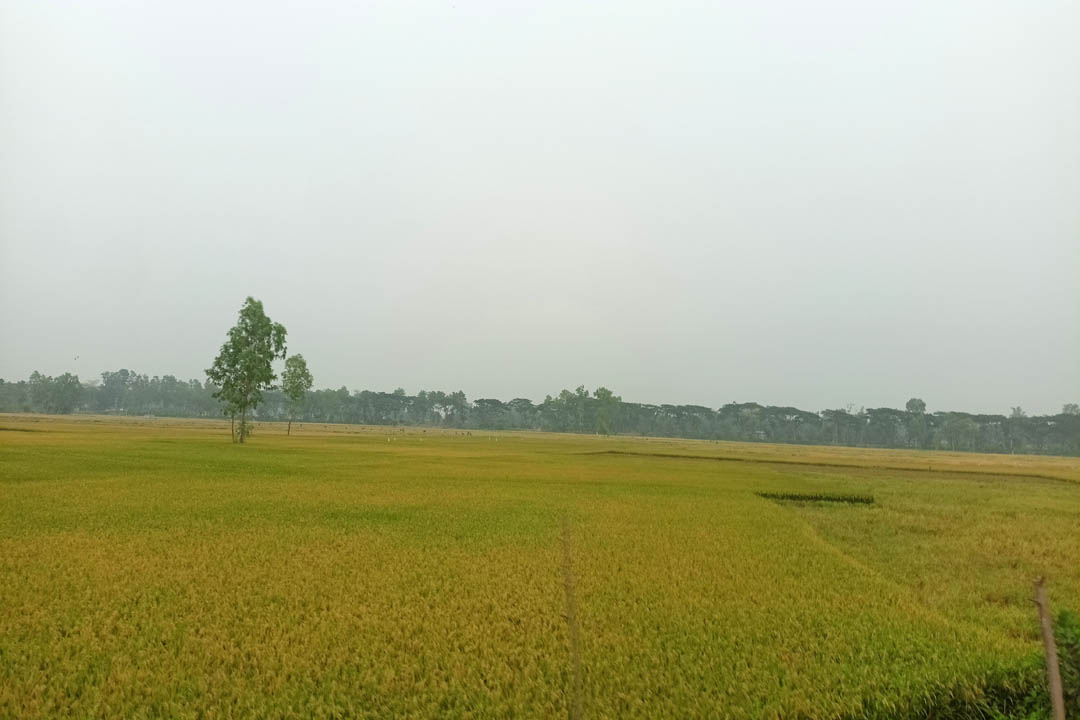 জমি জমার হিসাব
